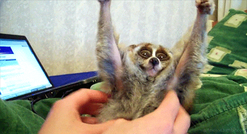 The Best of Tumblr Blog - 1000notes.com