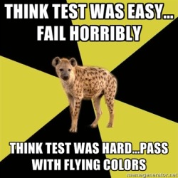 fyeahhighschoolhyena:  [Picture: Background~ a six piece pie style colour split, alternating yellow and black. Foreground~ a picture of a hyena. Top text: “{Think test was easy…fail horribly}.” Bottom text: “{think test was hard… pass with flying