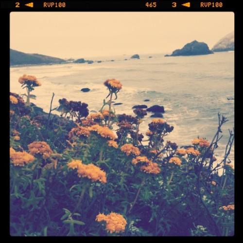 Taken with instagram