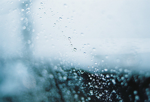 chickabiddy:  Untitled (by tachicom) 