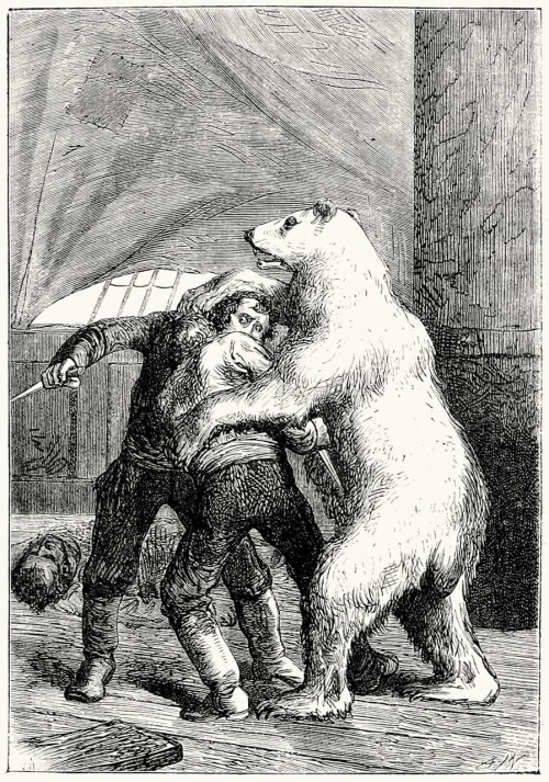 oldbookillustrations:The bear, having descended from the mast, had fallen on the two men. (A winter