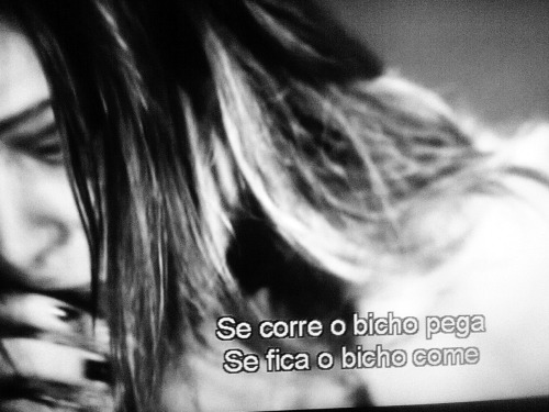 Pitty