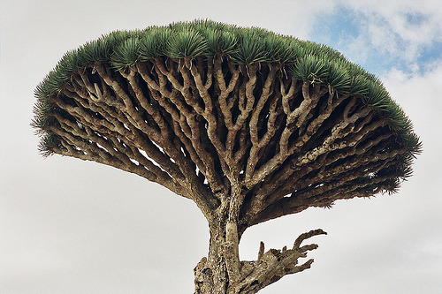 independiente:  AA_0_845 (by aka.keronos) 