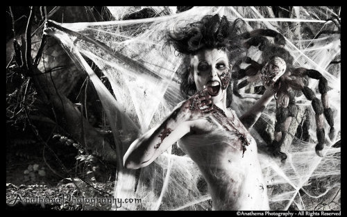 Porn photo darkkaart:   Itsy Spooksy Spiderby ~Anathema-Photography