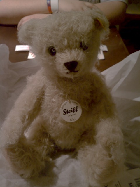 I&rsquo;ve always wanted a Steiff bear. I saw his name is Niki&hellip; And