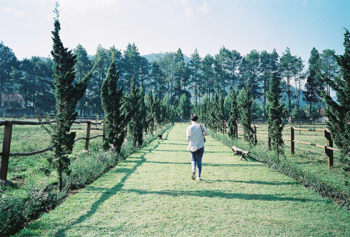 thisjourneyisinfinite:untitled by Astrid Prasetianti on Flickr.