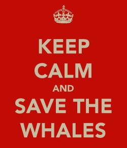 kidsfromhomura:  Save the Whales 