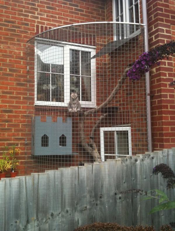 myasphyxiatedmind:  izkyoot:  this animal is caged for your safety  画  That is