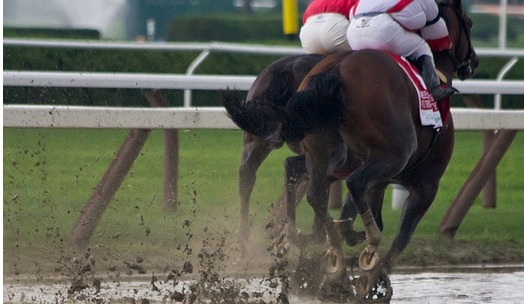 Trinniberg [inside] and Currency Swap duel in the Saratoga mud during the Hopeful Stakes (I).