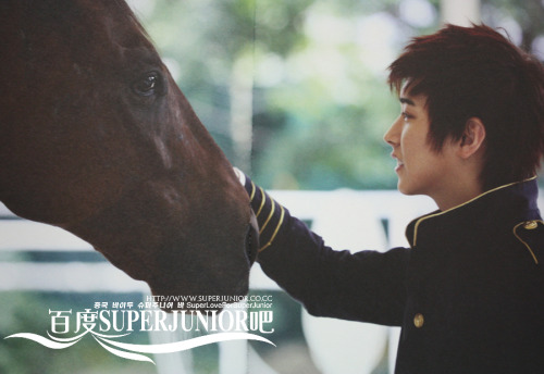 luluelf: SJ Boys in City.. Horse riding..