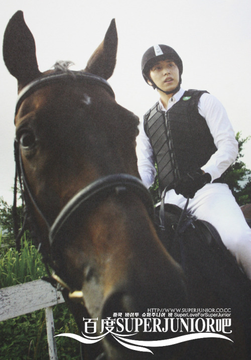 luluelf: SJ Boys in City.. Horse riding..