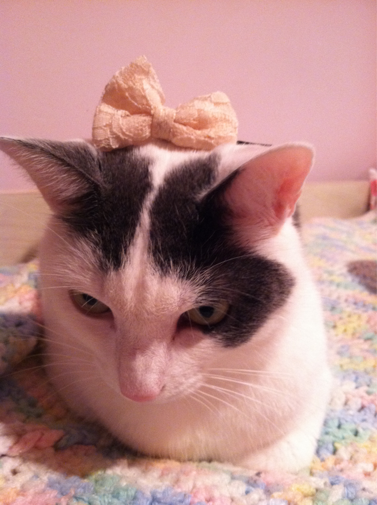 n-a-n-o-o-k:  Omg my little princess baby omg pokey 