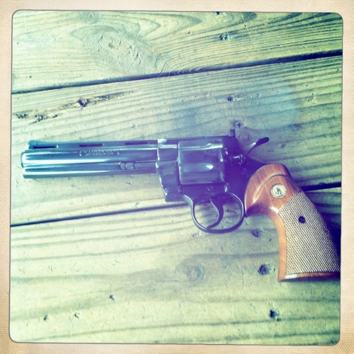 brokeandarted:  Colt Python 357 Magnum  porn pictures