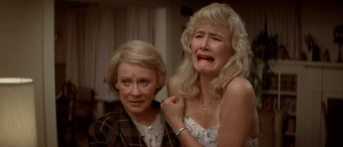bbook:  It’s Blue Velvet’s 25th birthday! Thanks for this and everything else,