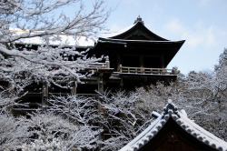 lovestoryinhistory:  雪の清水寺 by nobuflickr on Flickr. 