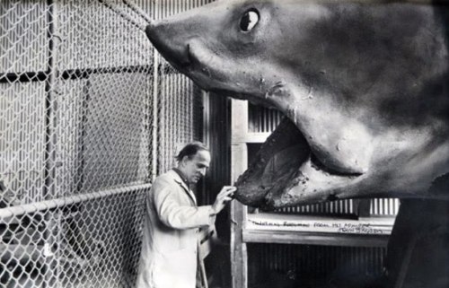 sunsetgun:  Ingmar Bergman on the set of JAWS. Courtesy Senses of Cinema. 