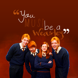 chamberofweasleys-blog:  you must be a weasley!