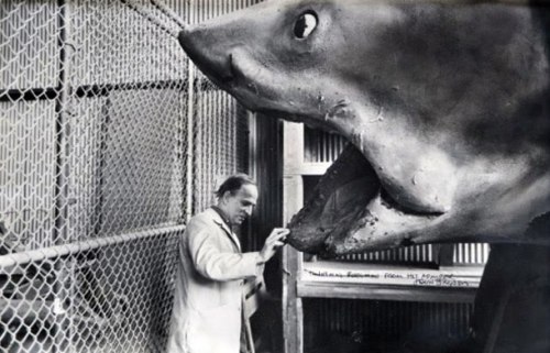 nosex:  ingmar bergman, on the set of jaws (1975)[1]