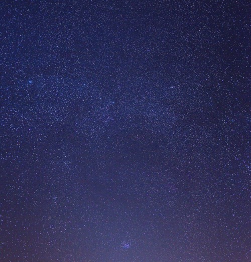 cwnl: Zodiacal Light above France The sky above this lonely tree in southern France displays the nor