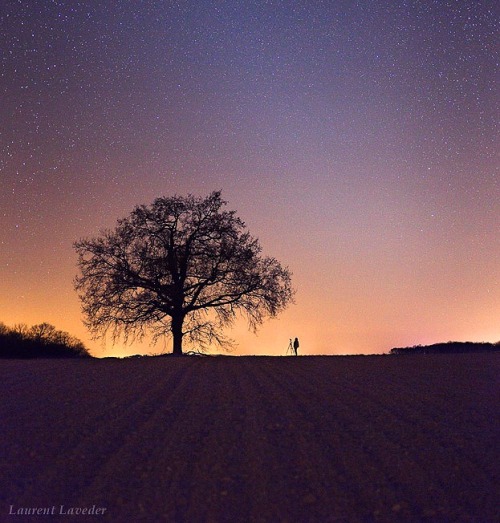 cwnl:Zodiacal Light above FranceThe sky above this lonely tree in southern France displays the north