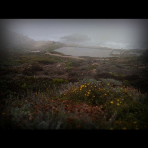 Sutro Baths (Taken with instagram)