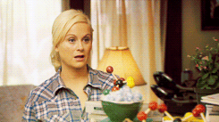 galentines:20 Days of Leslie Knope | Day 19 | Free Day