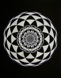 mysteriouslichen:  Black Paper &amp; Color Pencil 12 Circuit Torus, 3rd Harmonic Expansion by Chad Lassin http://mysteriouslichen.tumblr.com 