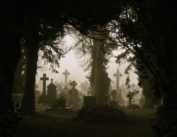 zombiebrainfortea:  *Foggy Graves Through