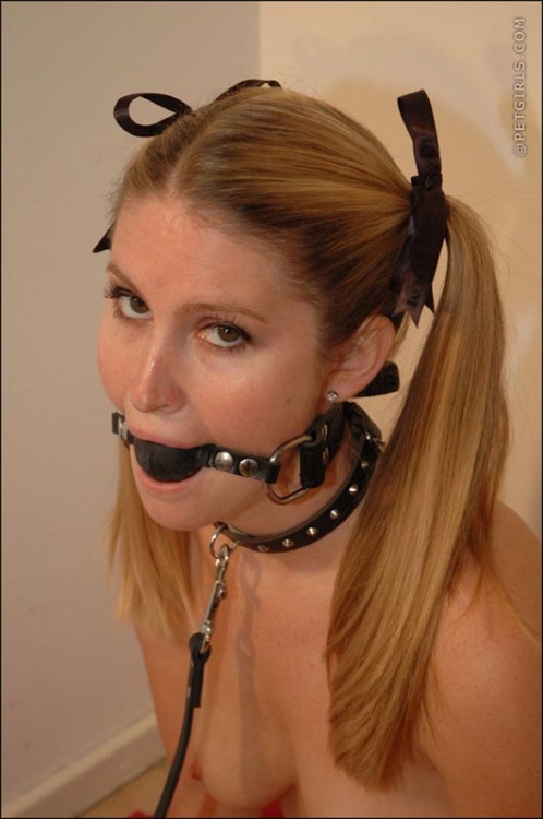 daddysfucktoys:  Petgirl      (via TumbleOn)