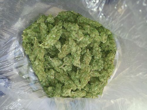 kushndiamonds:  White Rhino