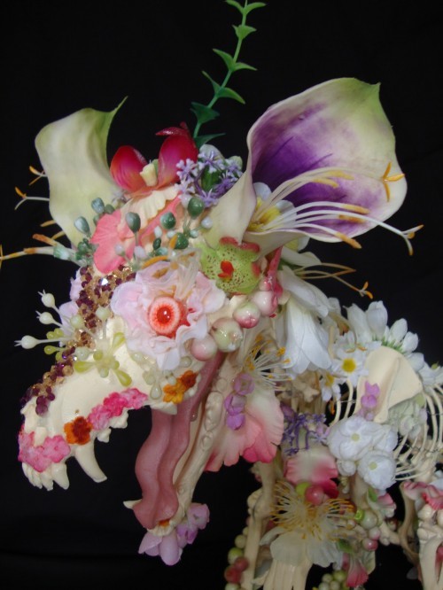 unnaturalist:floral taxidermy by Cedric Laquieze
