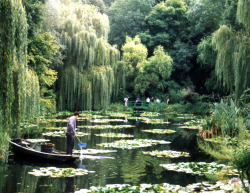 blackgolddiamondsoul:Monet’s Garden. Givery,