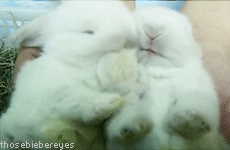 uuuumuuuuaaaaa <3 uuuumuuuuaaaaa <3 uuuumuuuuaaaaa <3