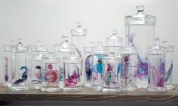 ianbrooks:  Preserved Transparent Animals by Iori Tomita These see-through critters are preserved in jars and injected with amazing technicolor enzymes to make them all glow-y. Break it down, Science: “Tomita uses an enzyme to dissolve the natural protein