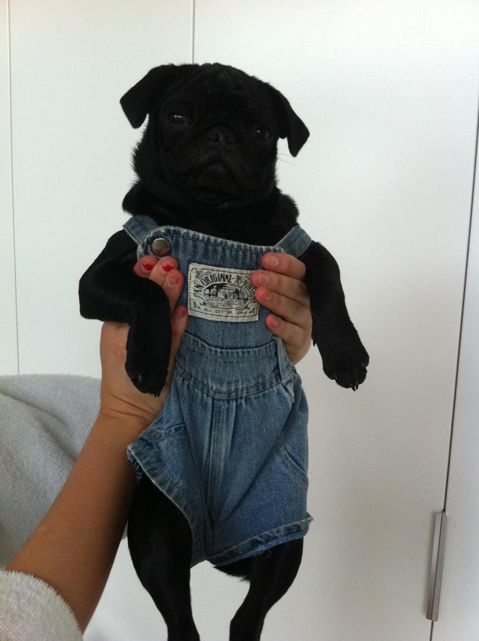sweetly-sinister:  ocean-jewels:  hahahahahahaha *dies*  bb 