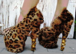 dollys:  omg these beautiful shoes