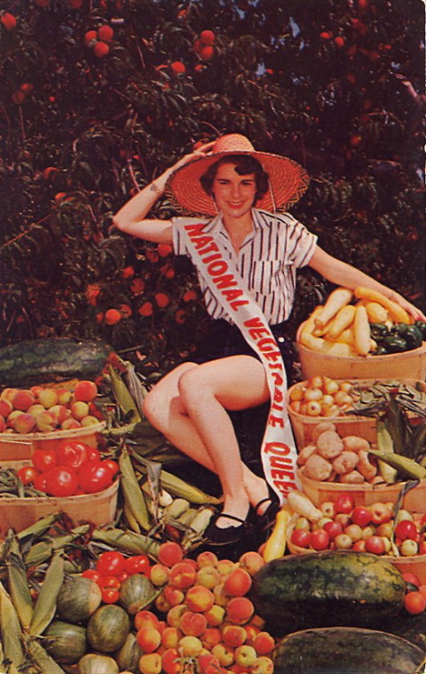 bad-postcards: NATIONAL VEGETABLE QUEEN “Cumberland County’s Finest.” Cumberland C