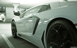  LP700-4 Aventador (by DryHeatPanzer) 