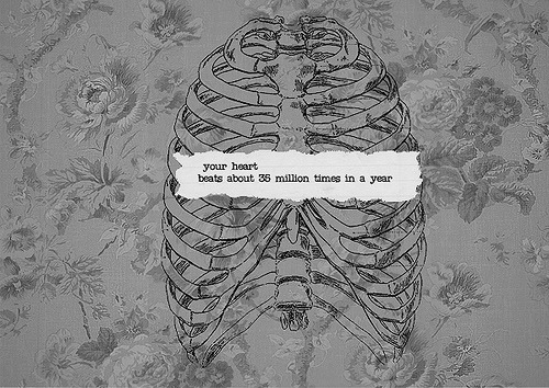 Hello, stranger