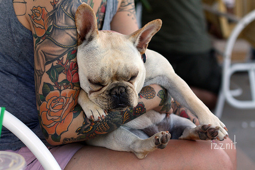 neonnelli:  (via imgTumble) 