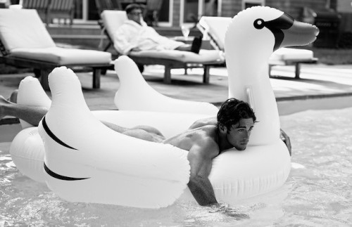 Swan lake…..