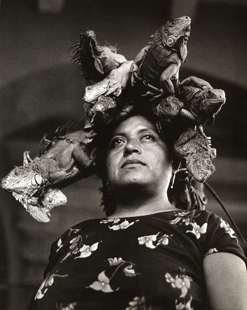 nuestrahermana:  Nuestra Hermana WOC Photography Series :  Gracelia Iturbide  Graciela