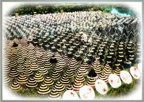 // Can you spot the man in this picture? // THE UMBRELLA FARM – A Surrealistic View in Old Jap