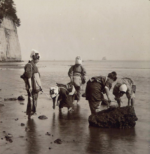 Shell-Pickers off Honmoku Misaki - Yokohama By T. ENAMI, ca. 1898. This richly printed image was pho