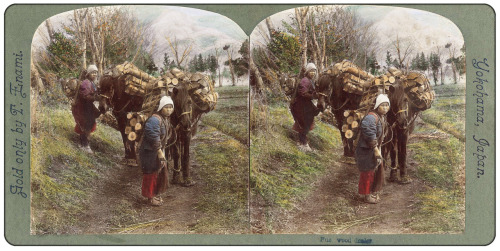 // I love the horseshoes // Rustic Women with Pack-Horses - Hauling Firewood From a Sample Set of Cl