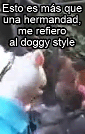 grullas-de-papel:  elrincondelchelo:  yasisequesoyfeo:  hueonanormal:  thehassasin:  Escoja su favorito: Segunda Temporada  y mi tanvlah esta completo <3  mala … esta cancion es mala *—*  ring ring raja y severlá lmL  Anacleto *-* 