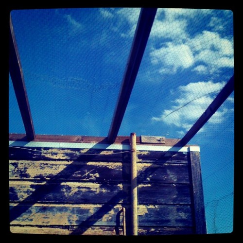This totally gorgeous weather. (Taken with instagram)