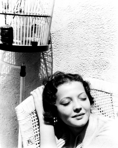 missavagardner:Sylvia Sidney Photographed by Edward Steichen.