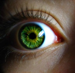 becrazylaughandlove:  hi green eye   