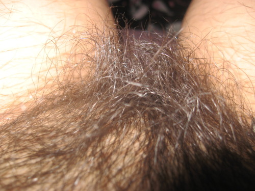 Porn photo mrhairmeiser 10659391671